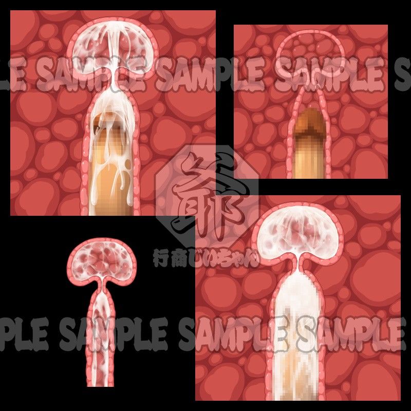 行商じいちゃんの便利素材 断面図・膣内射精2（正面図）