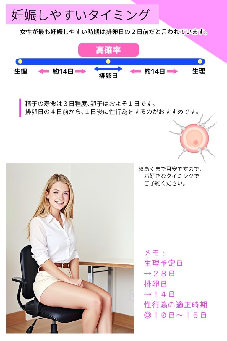 妄想パンフレット「グローバル出産代行サービス」